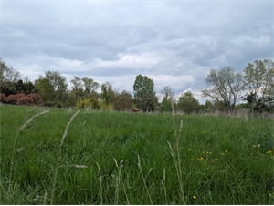 terrain à la vente -   42600  MONTBRISON, surface 3098 m2 vente terrain - UBI469377317